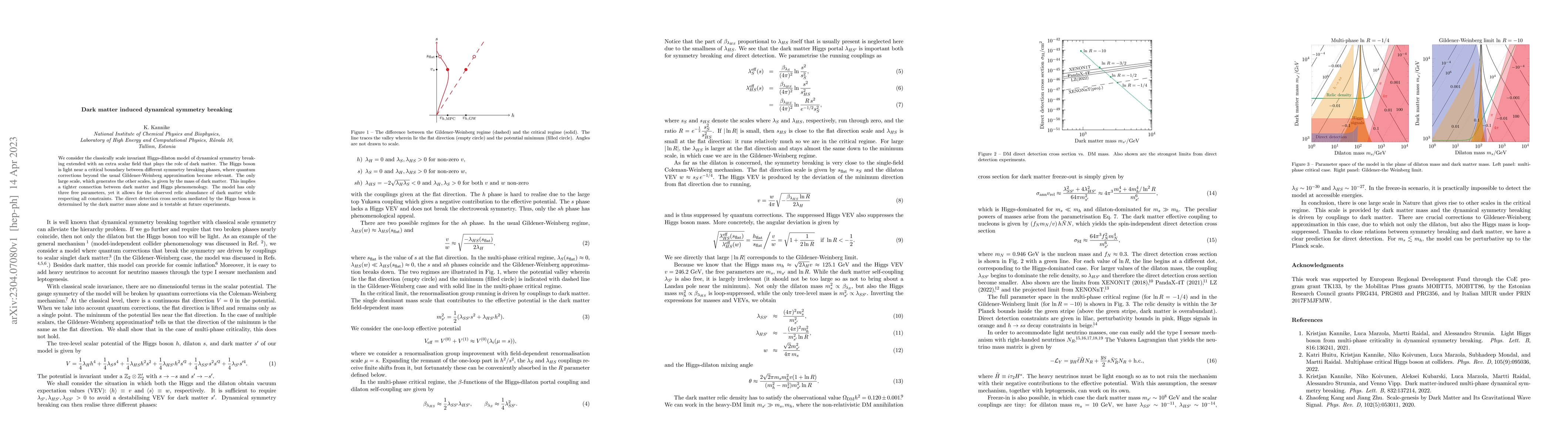 Thumbnail for Dark matter induced dynamical symmetry breaking
