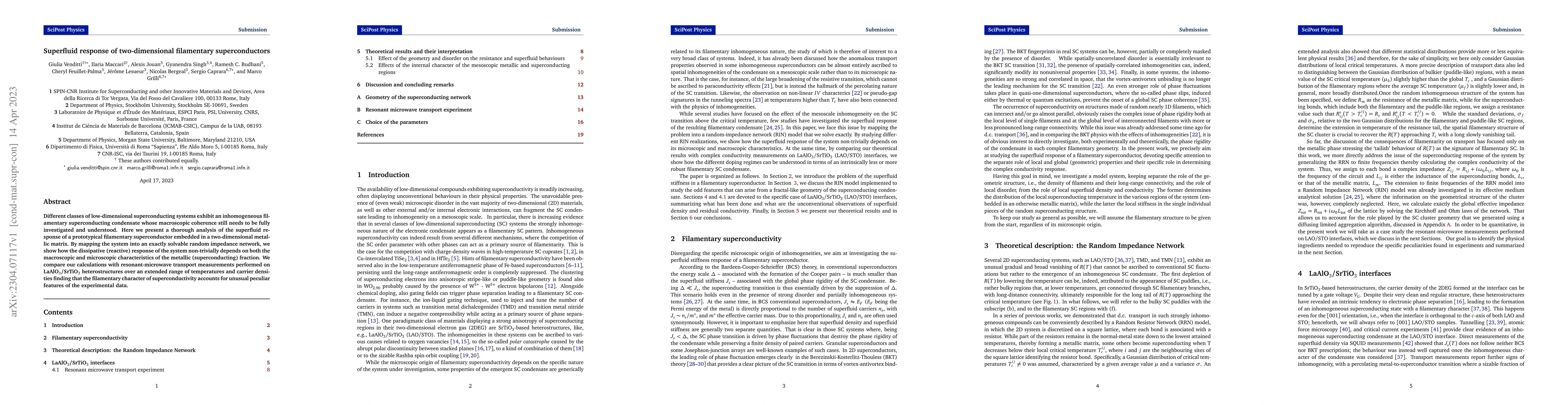Thumbnail for Superfluid response of two-dimensional filamentary superconductors