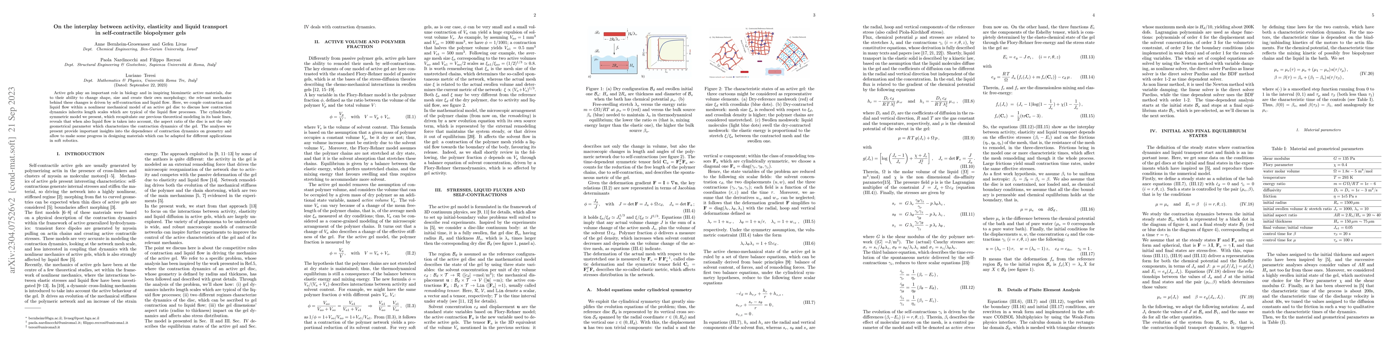 Thumbnail for On the interplay between activity, elasticity and liquid transport in
  self-contractile biopolymer gels