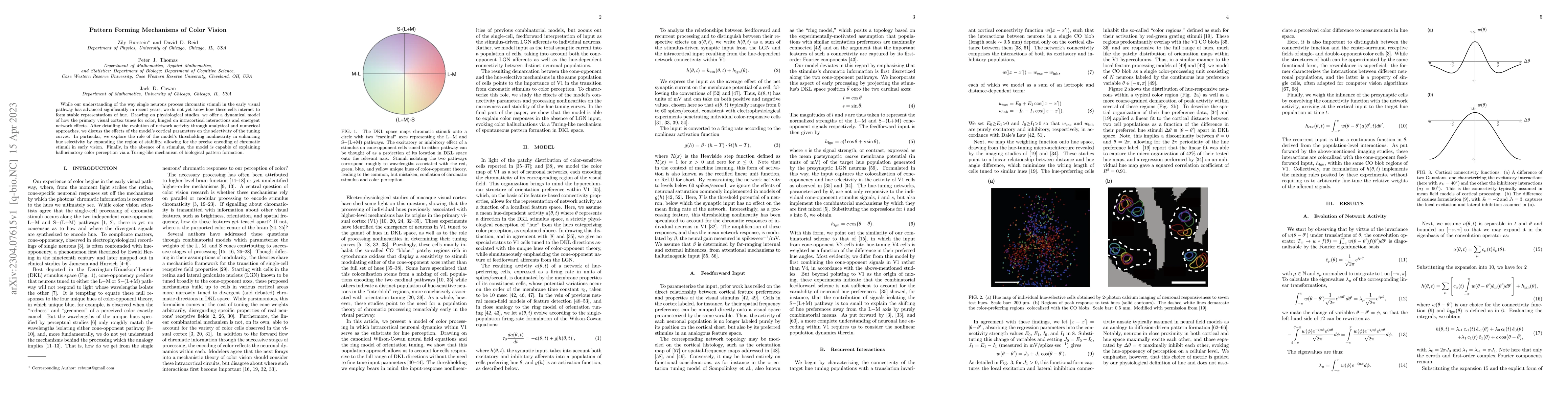 Thumbnail for Pattern Forming Mechanisms of Color Vision