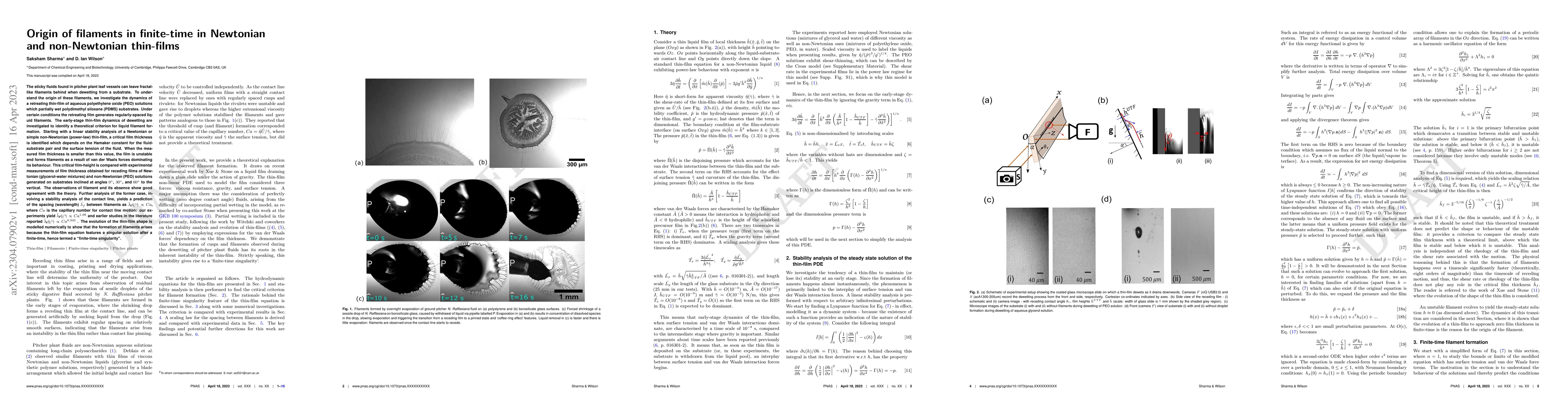 Thumbnail for Origin of filaments in finite-time in Newtonian and non-Newtonian
  thin-films