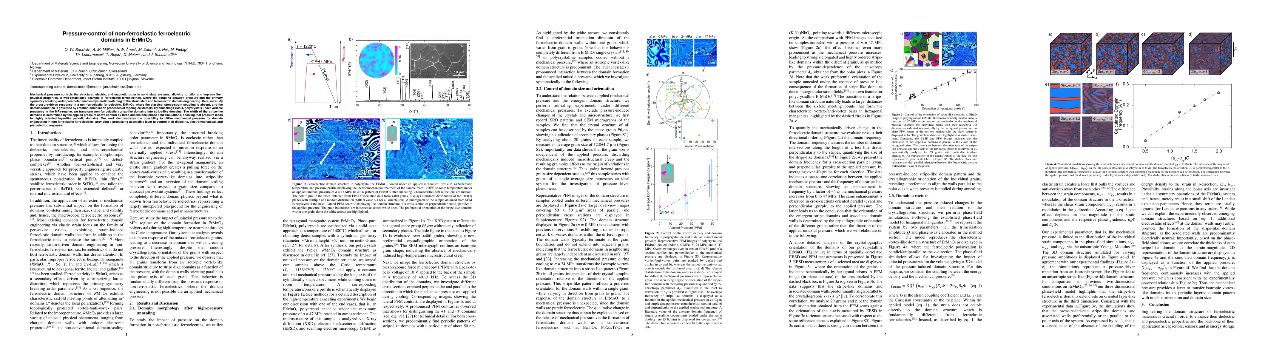 Thumbnail for Pressure-control of non-ferroelastic ferroelectric domains in ErMnO3