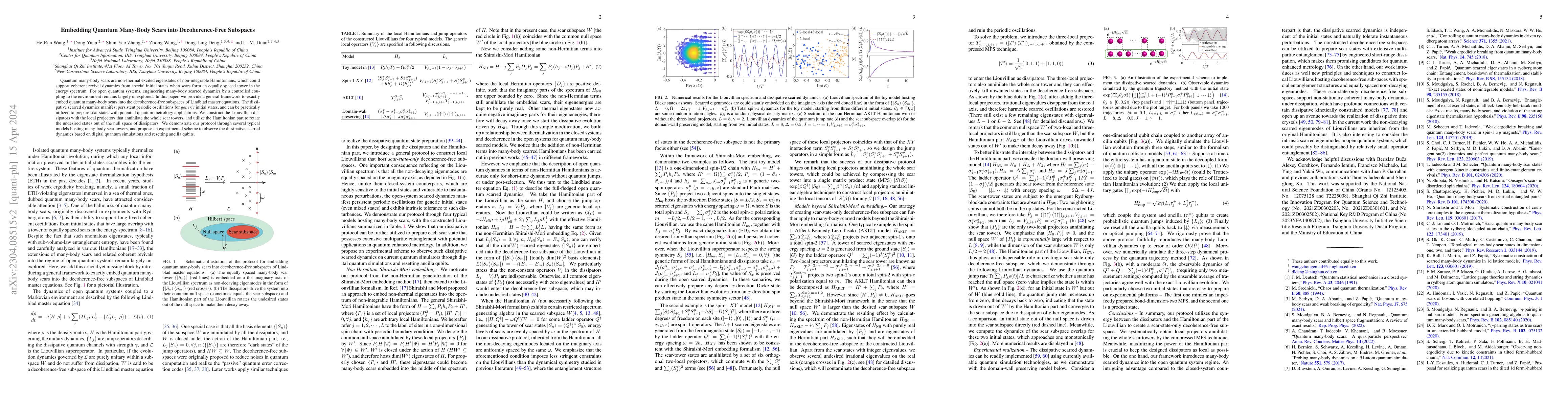 Thumbnail for Embedding Quantum Many-Body Scars into Decoherence-Free Subspaces