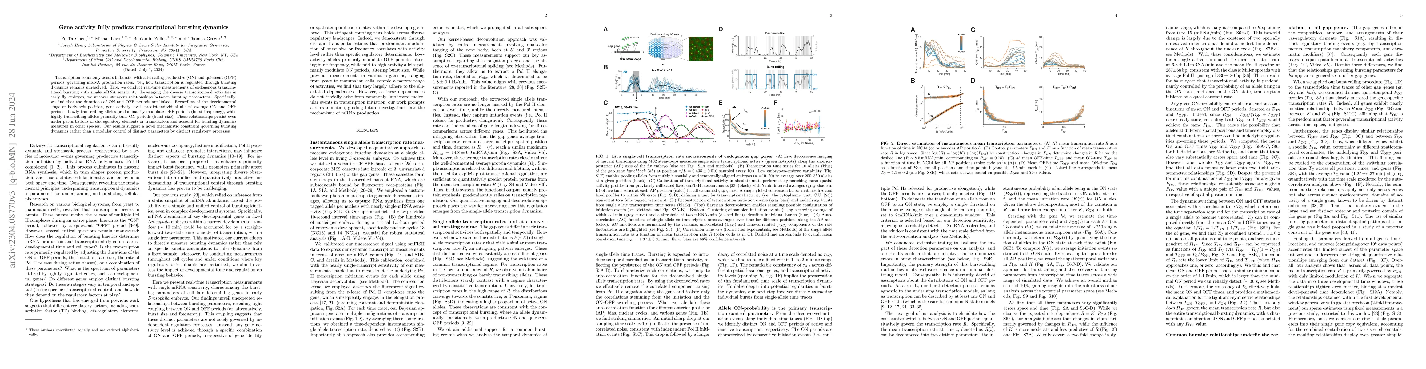 Thumbnail for Gene activity fully predicts transcriptional bursting dynamics