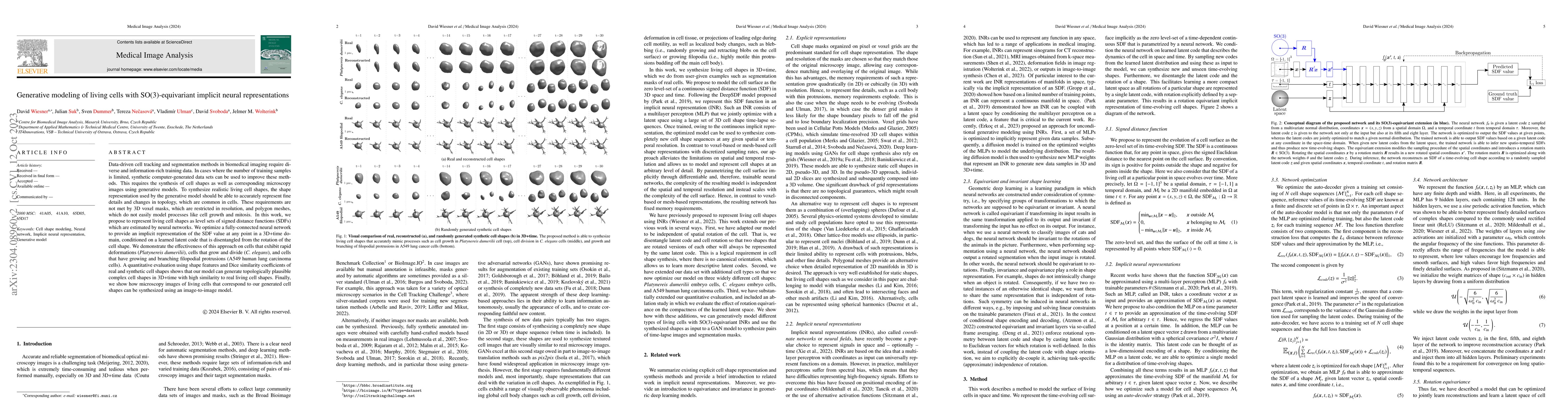 Thumbnail for Generative modeling of living cells with SO(3)-equivariant implicit
  neural representations