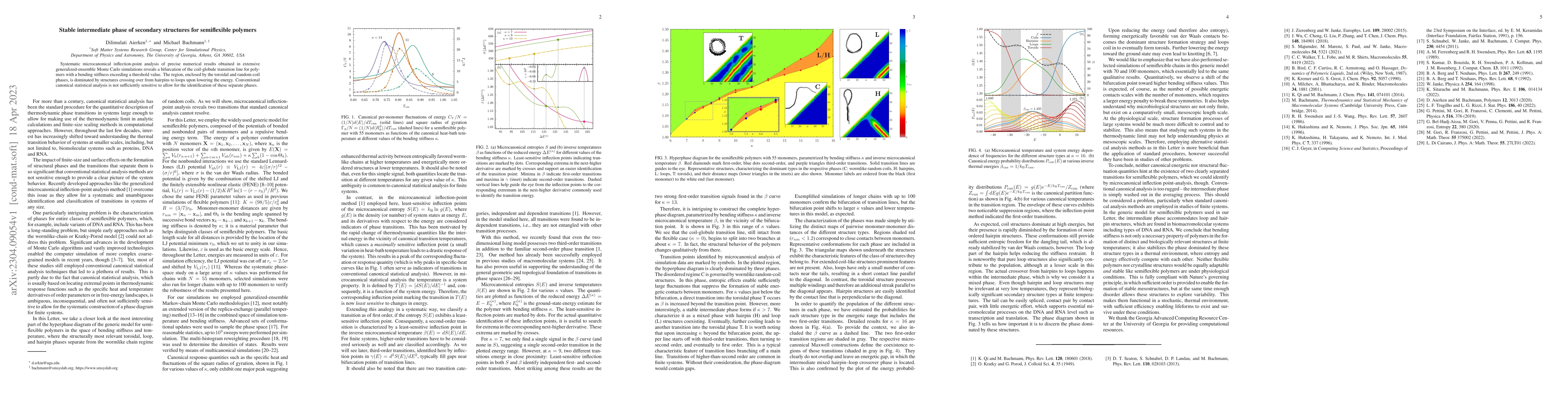 Thumbnail for Stable intermediate phase of secondary structures for semiflexible
  polymers