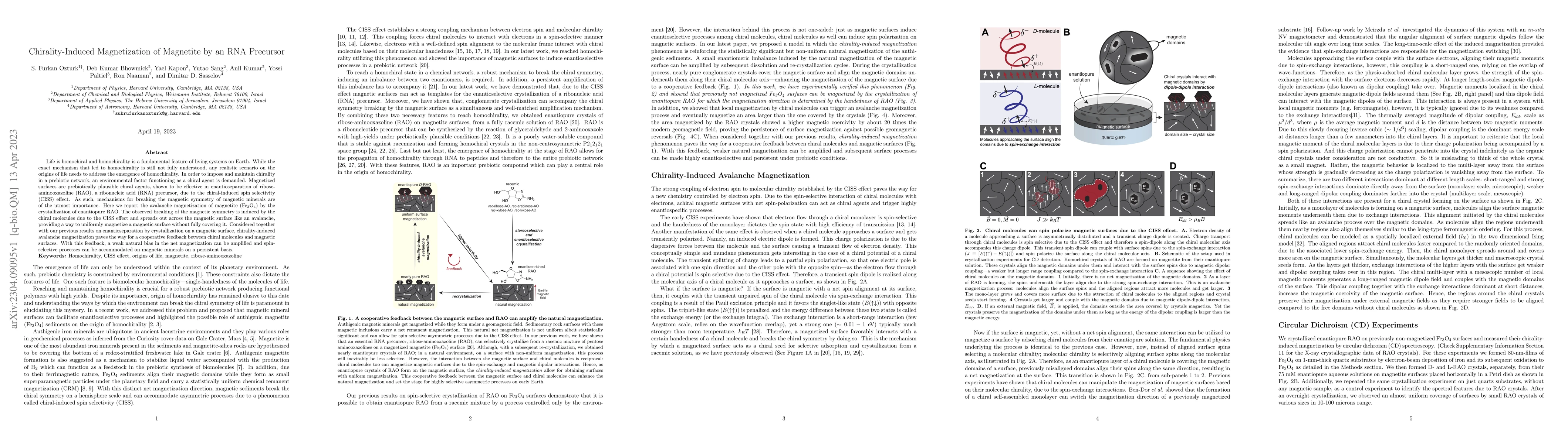 Thumbnail for Chirality-Induced Magnetization of Magnetite by an RNA Precursor