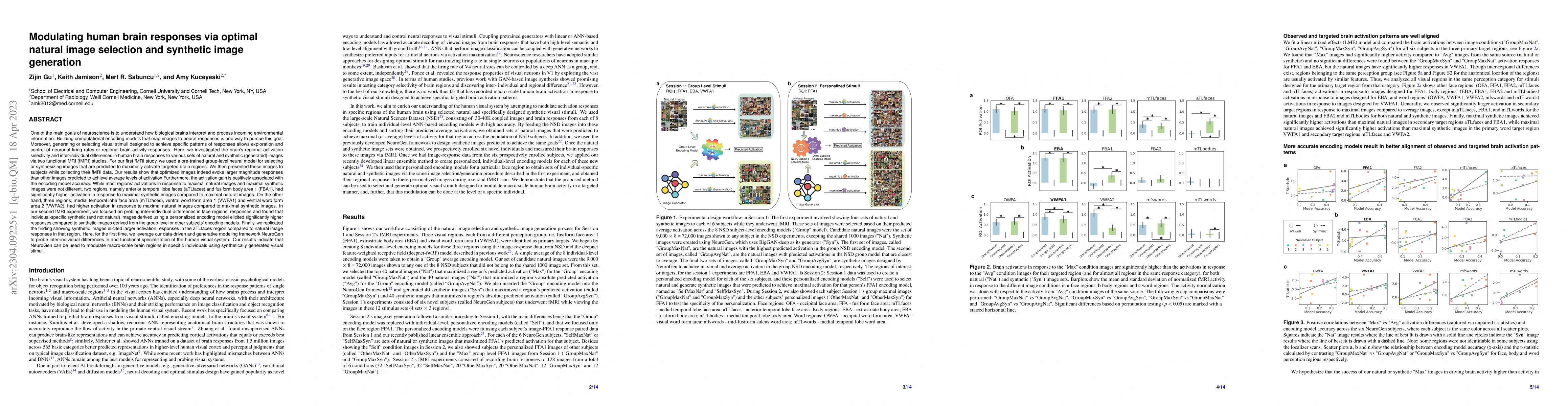 Thumbnail for Modulating human brain responses via optimal natural image selection and
  synthetic image generation