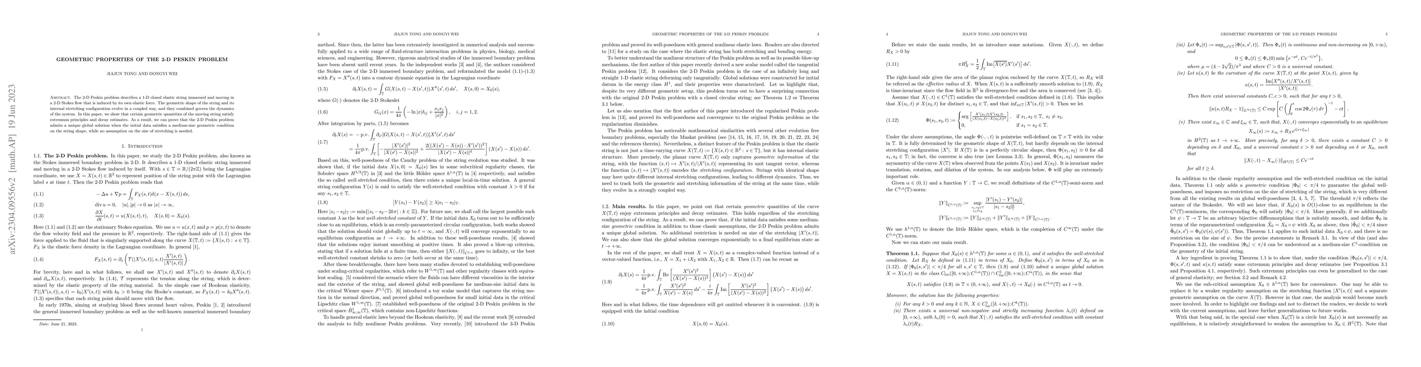 Thumbnail for Geometric Properties of the 2-D Peskin Problem