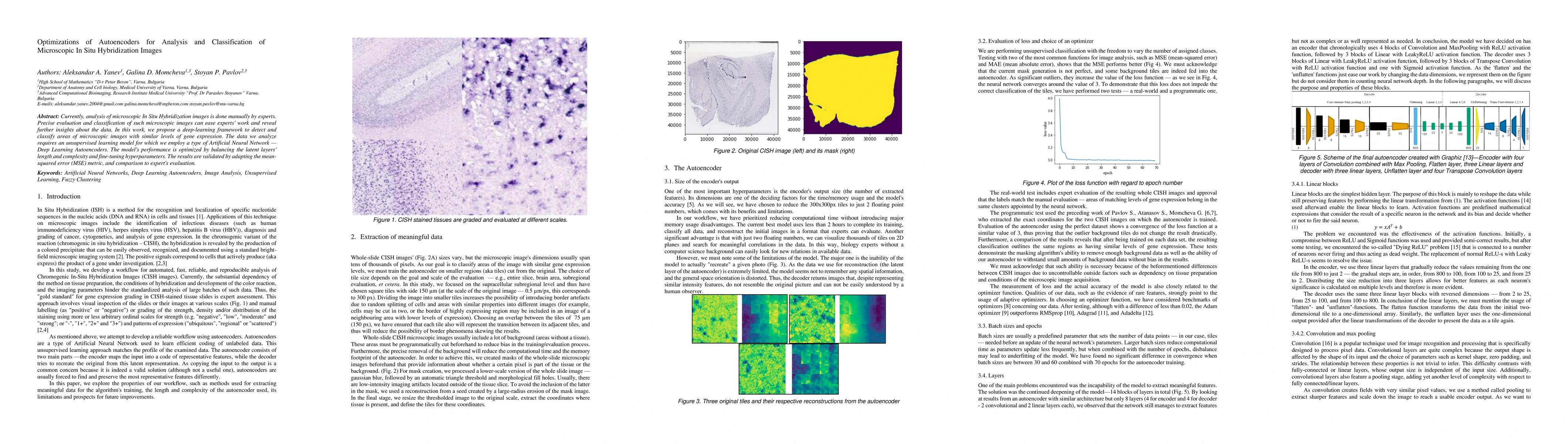 Thumbnail for Optimizations of Autoencoders for Analysis and Classification of
  Microscopic In Situ Hybridization Images