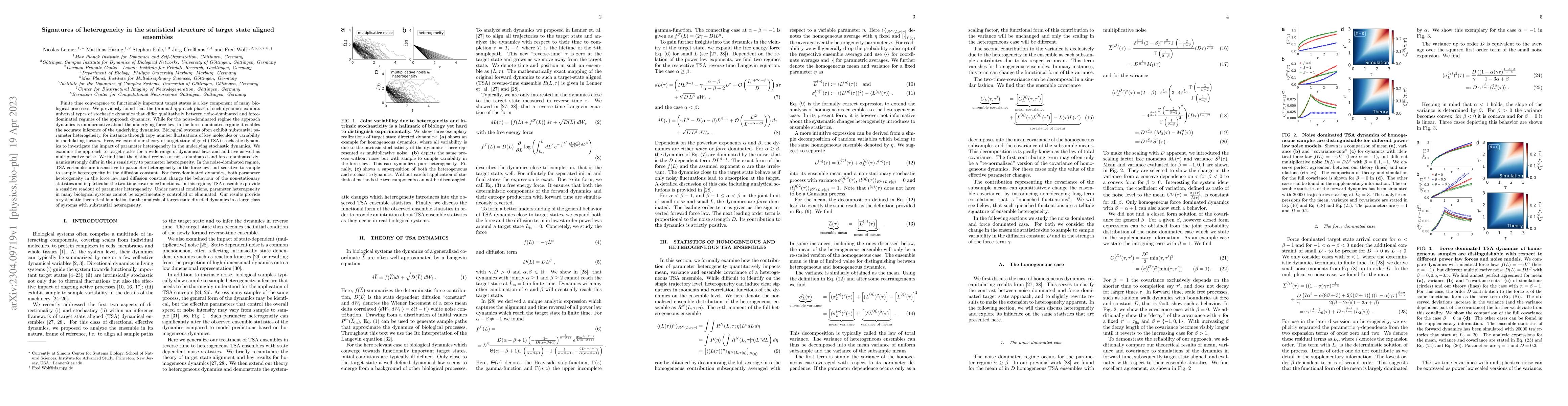 Thumbnail for Signatures of heterogeneity in the statistical structure of target state
  aligned ensembles
