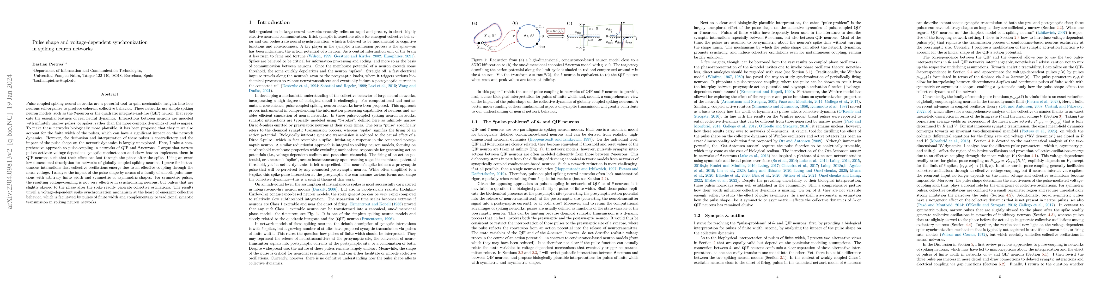 Thumbnail for Pulse shape and voltage-dependent synchronization in spiking neuron
  networks