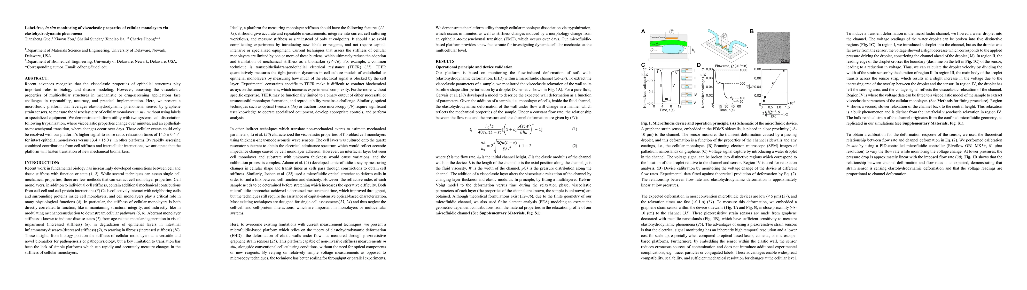 Thumbnail for Label-free, in situ monitoring of viscoelastic properties of cellular
  monolayers via elastohydrodynamic phenomena