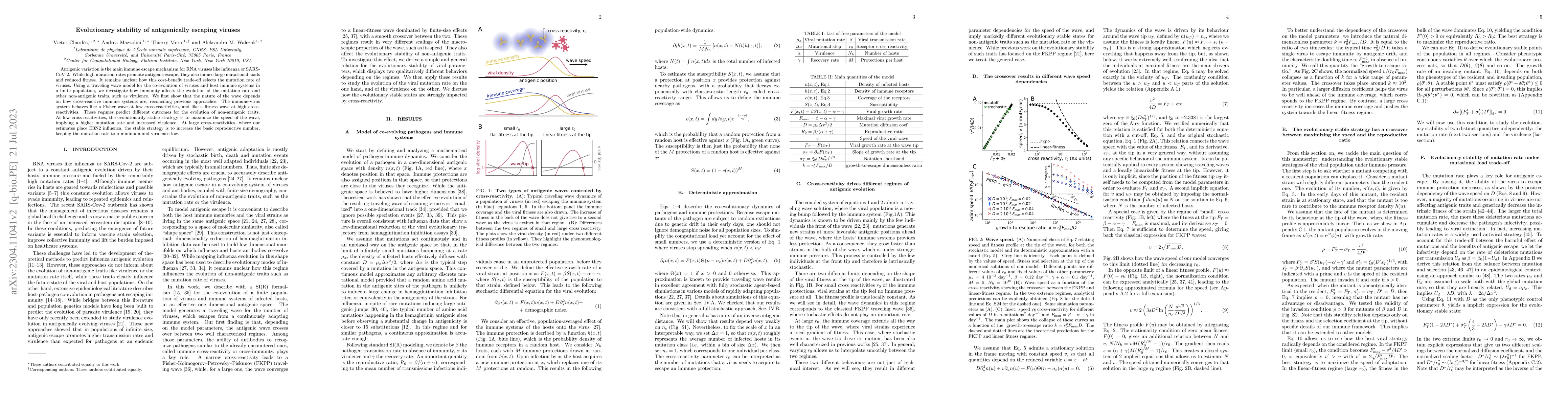 Thumbnail for Evolutionary stability of antigenically escaping viruses