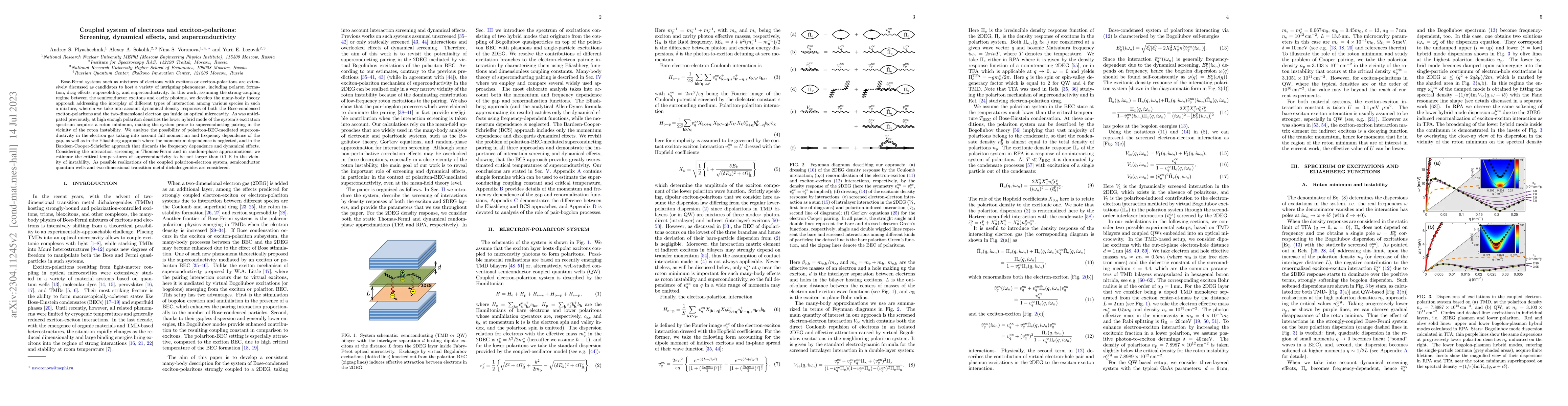Thumbnail for Coupled system of electrons and exciton-polaritons: Screening, dynamical
  effects, and superconductivity