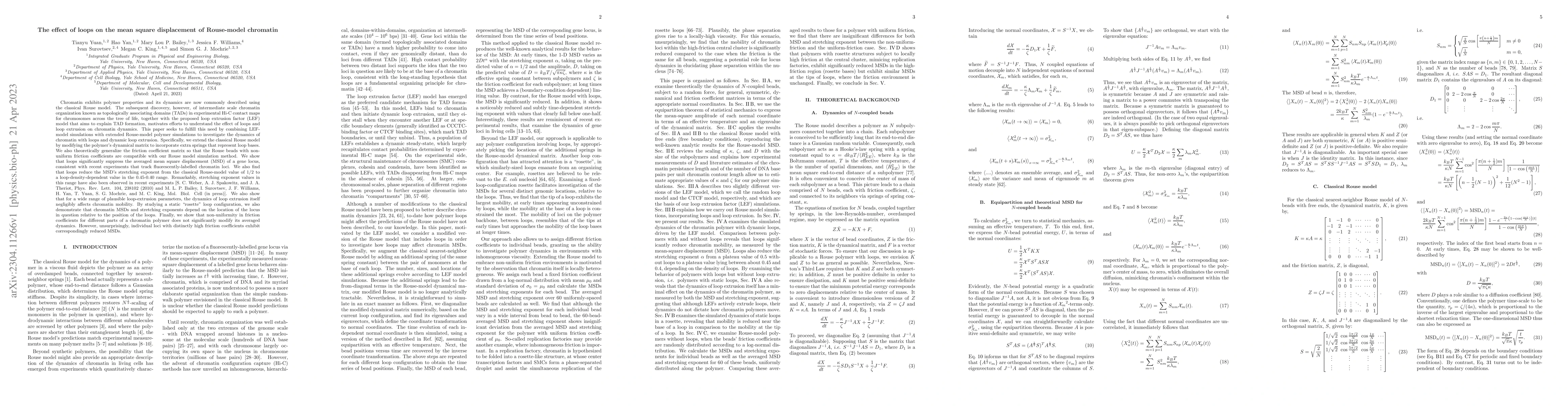 Thumbnail for The effect of loops on the mean square displacement of Rouse-model
  chromatin