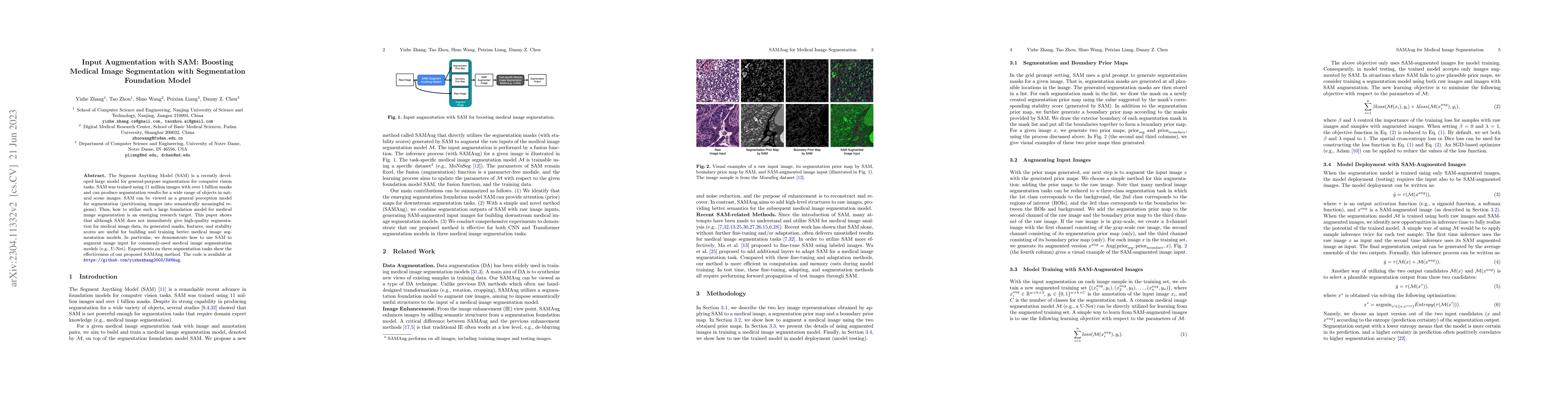 Thumbnail for Input Augmentation with SAM: Boosting Medical Image Segmentation with
  Segmentation Foundation Model