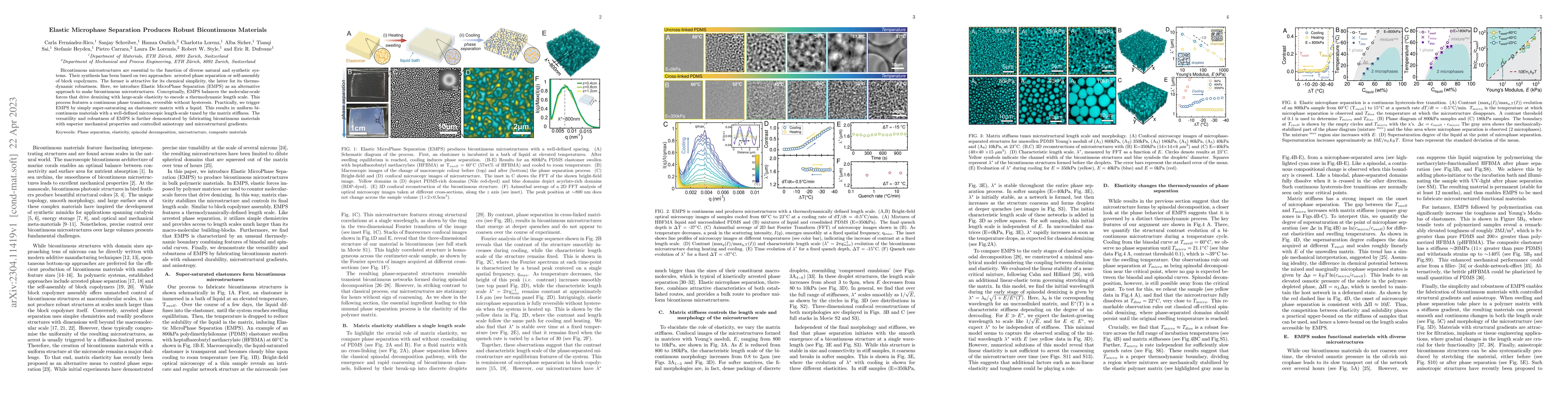 Thumbnail for Elastic Microphase Separation Produces Robust Bicontinuous Materials