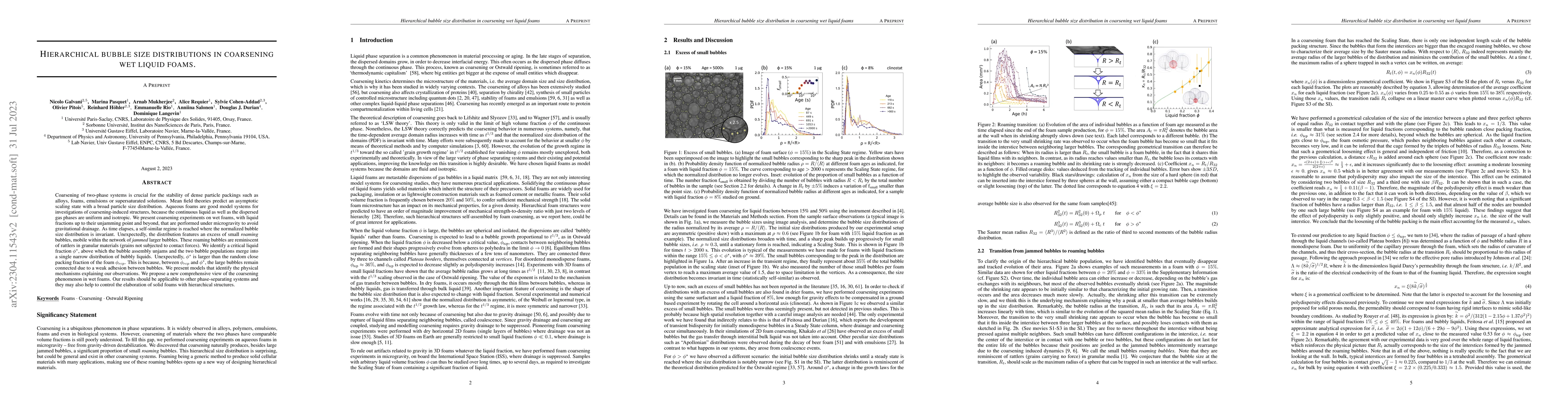 Thumbnail for Hierarchical bubble size distributions in coarsening wet liquid foams