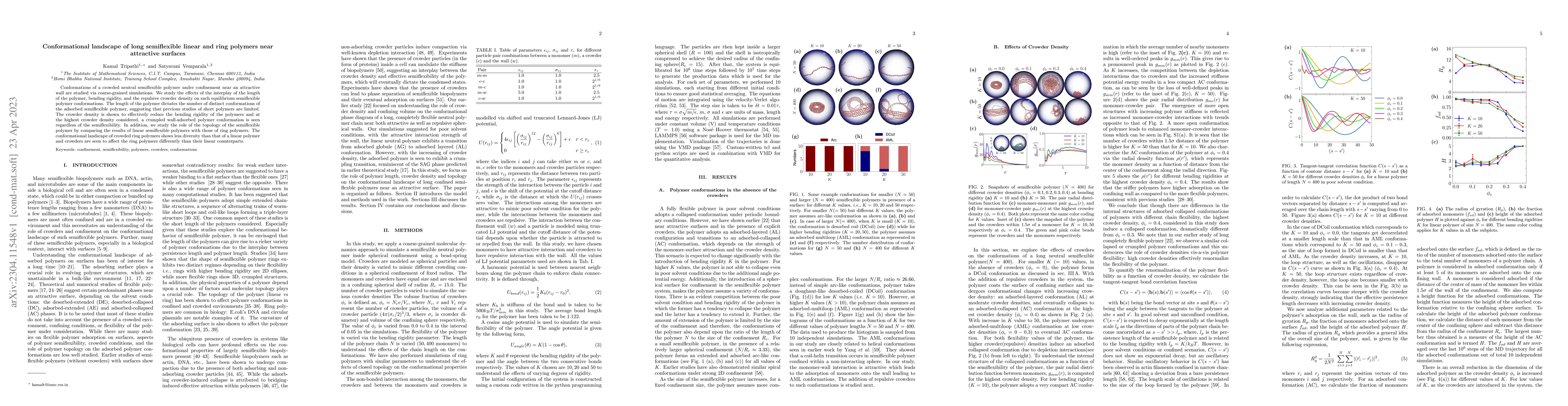 Thumbnail for Conformational landscape of long semiflexible linear and ring polymers
  near attractive surfaces