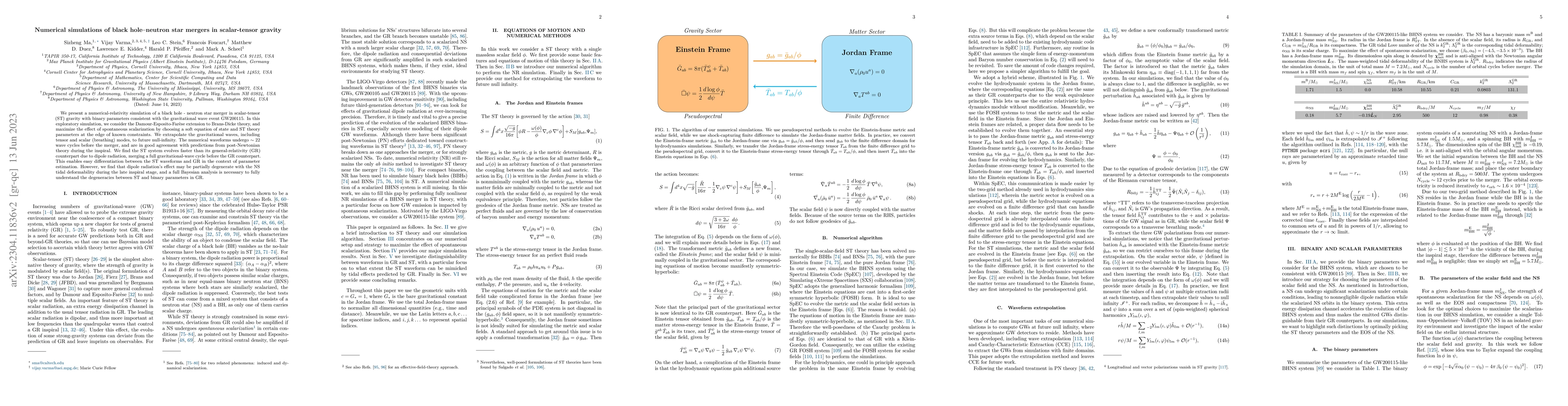 Thumbnail for Numerical simulations of black hole-neutron star mergers in
  scalar-tensor gravity