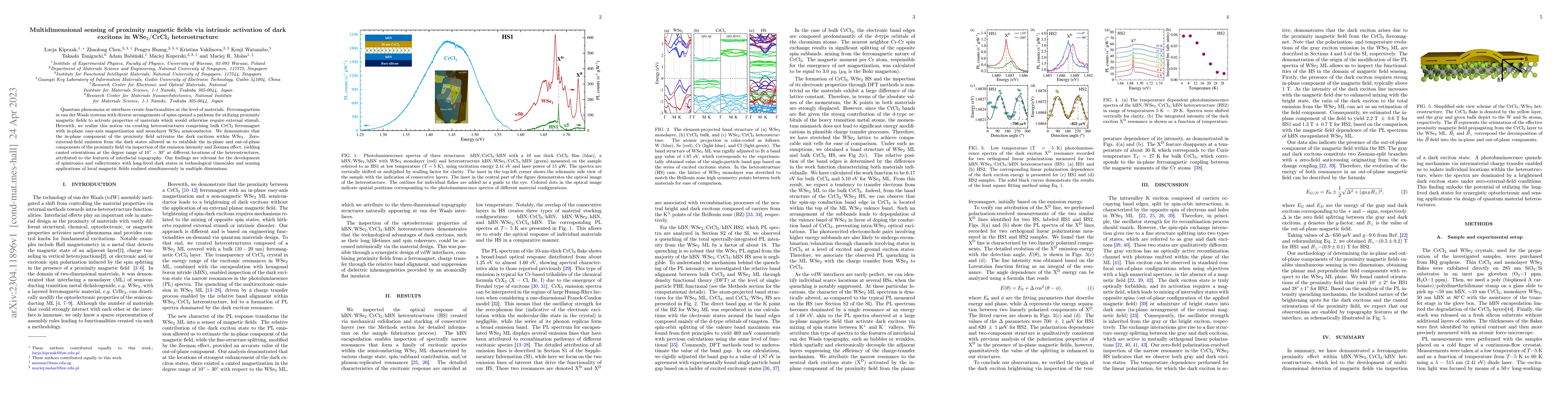 Thumbnail for Multidimensional sensing of proximity magnetic fields via intrinsic
  activation of dark excitons in WSe$_2$/CrCl$_3$ heterostructure