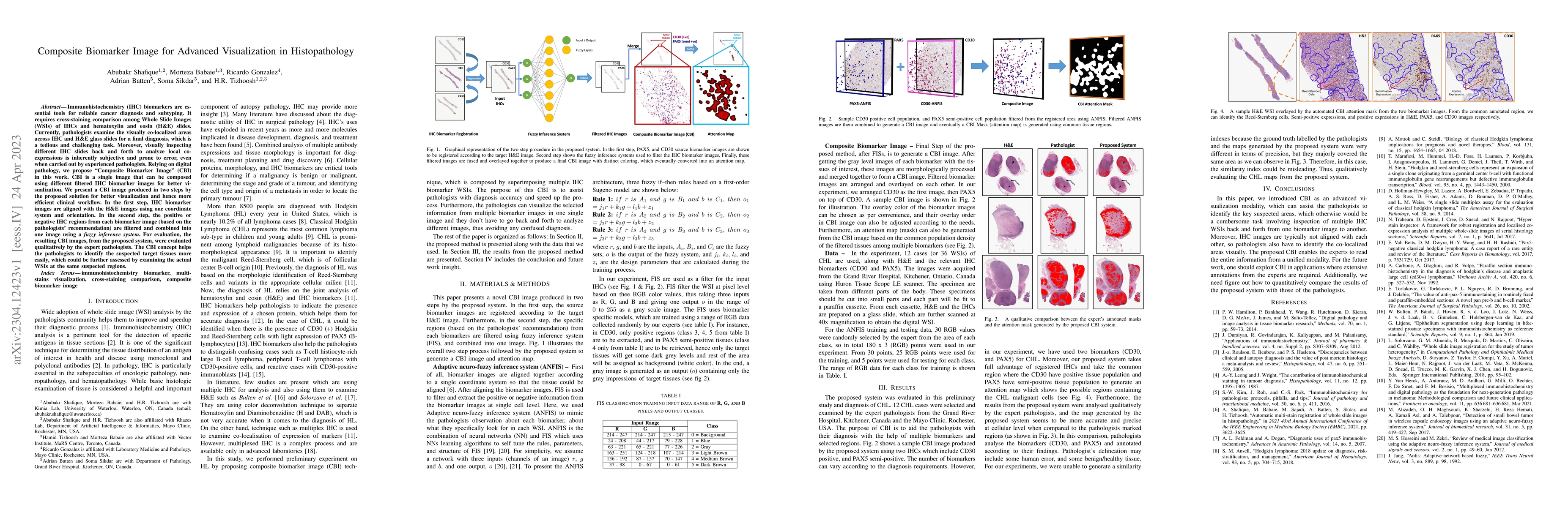 Thumbnail for Composite Biomarker Image for Advanced Visualization in Histopathology