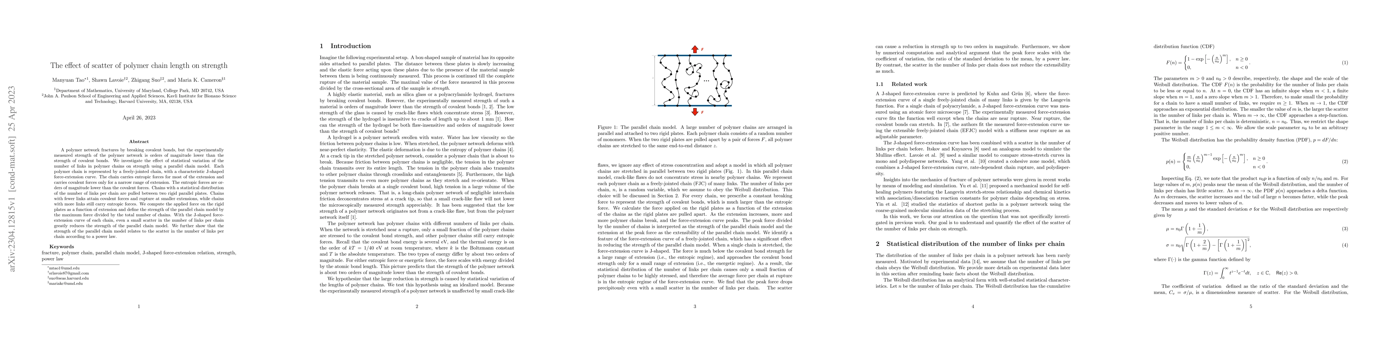Thumbnail for The effect of scatter of polymer chain length on strength