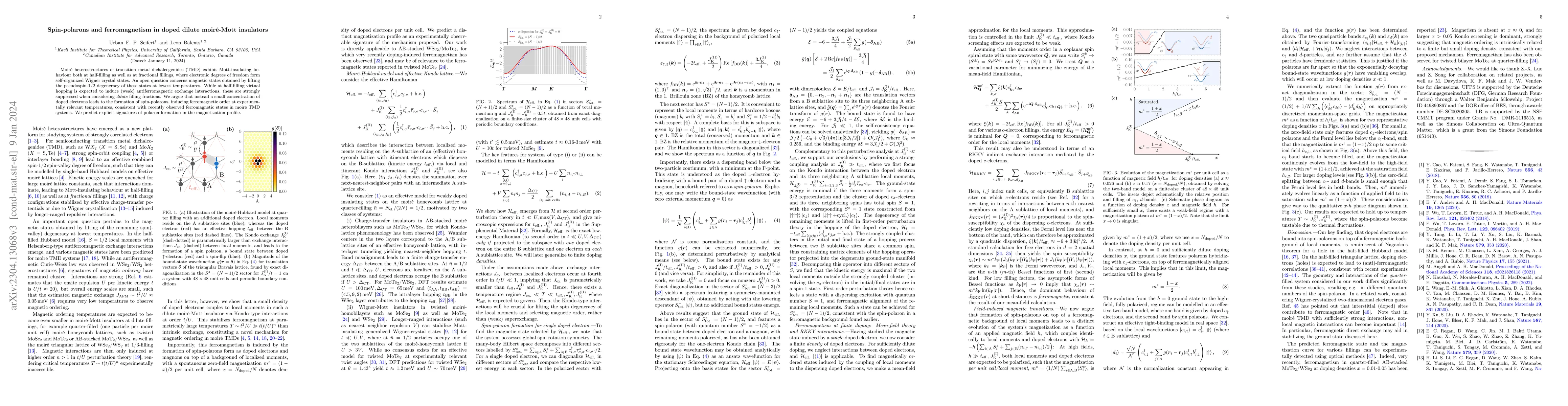 Thumbnail for Spin-polarons and ferromagnetism in doped dilute Wigner-Mott insulators