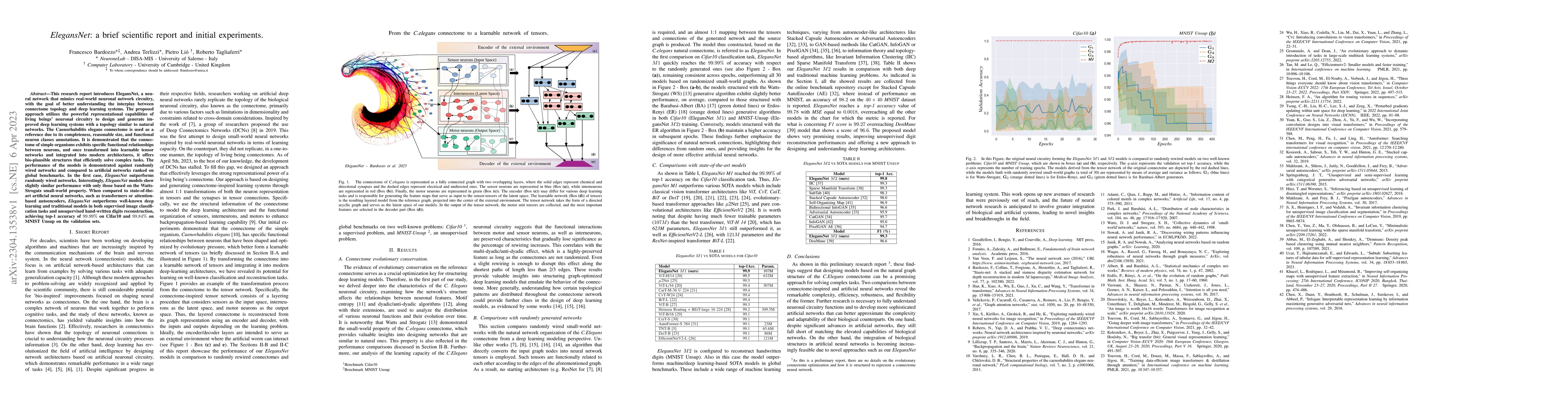 Thumbnail for ElegansNet: a brief scientific report and initial experiments