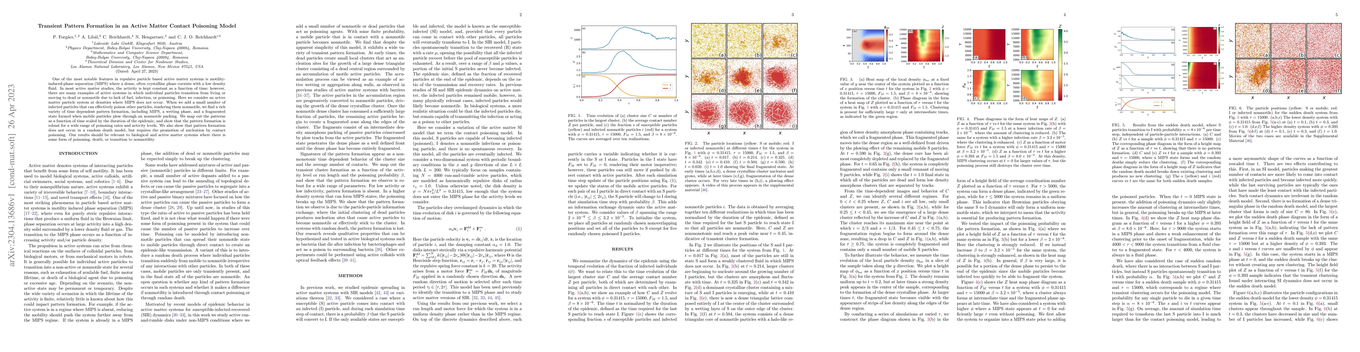 Thumbnail for Transient Pattern Formation in an Active Matter Contact Poisoning Model
