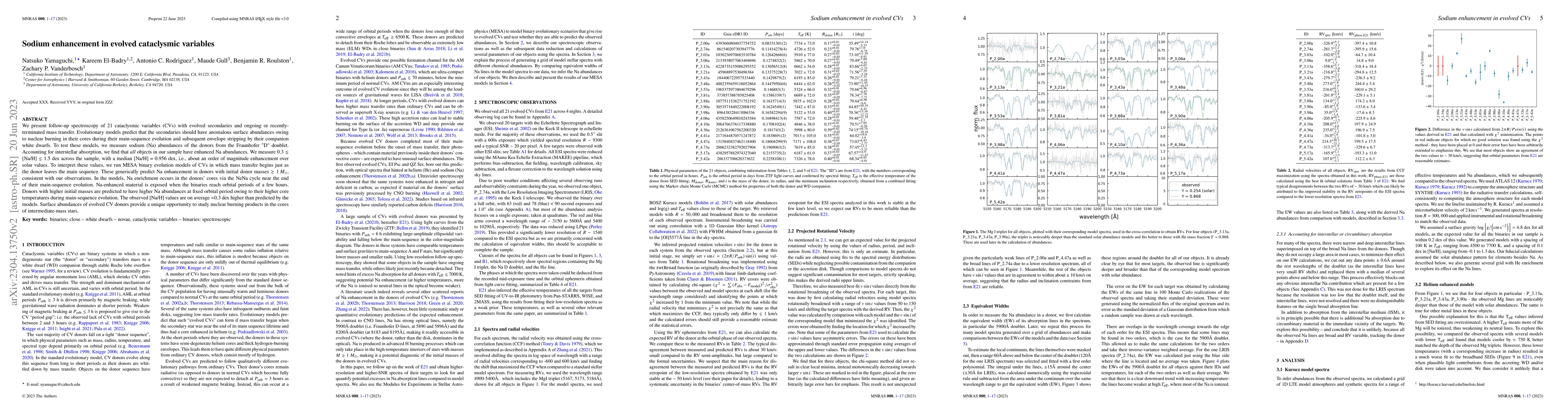 Thumbnail for Sodium enhancement in evolved cataclysmic variables