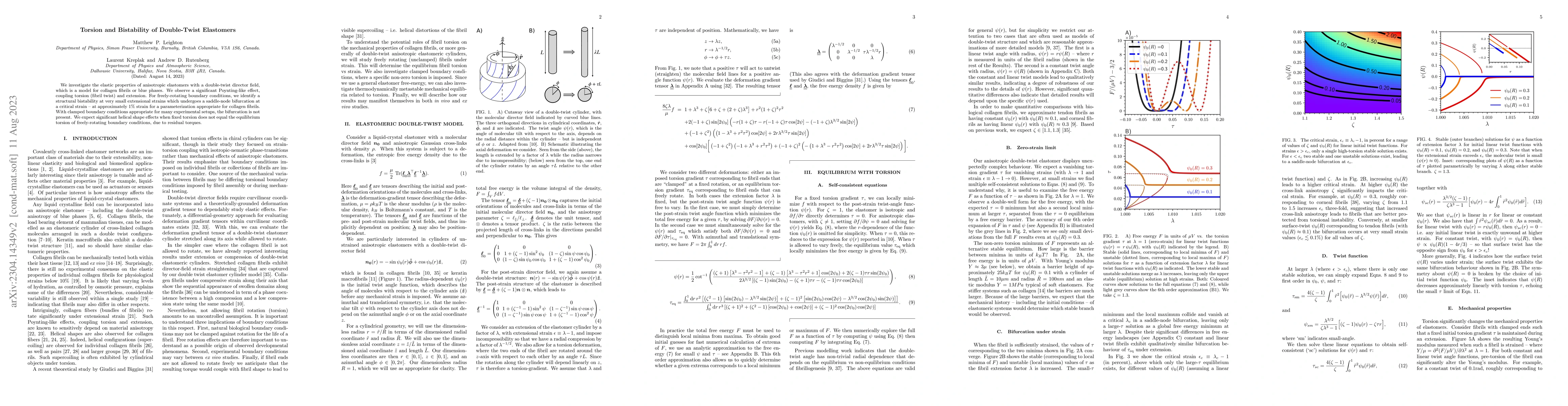 Thumbnail for Torsion and Bistability of Double-Twist Elastomers