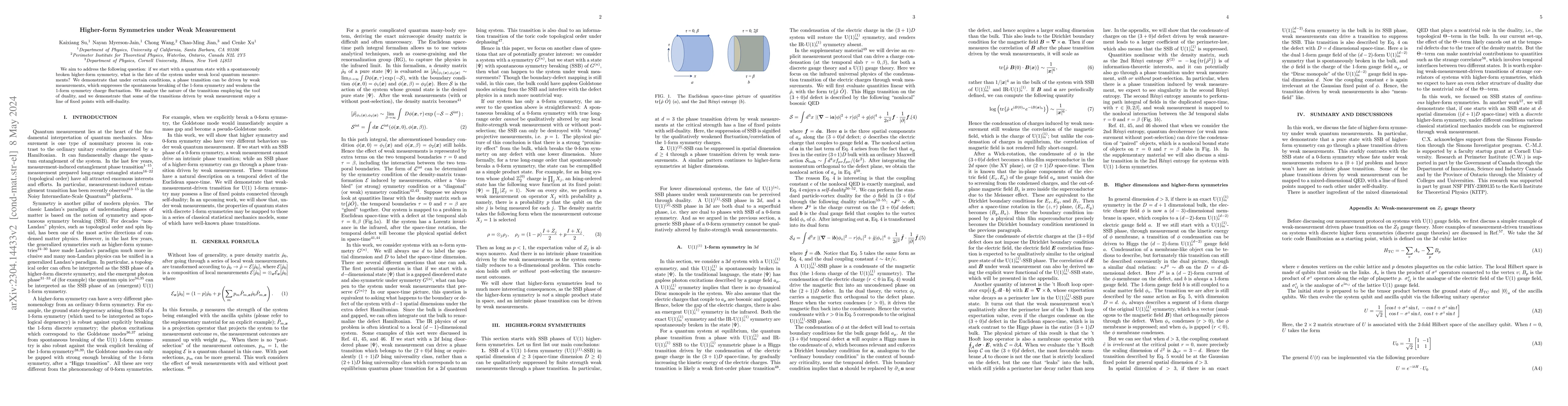 Thumbnail for Higher-form Symmetries under Weak Measurement