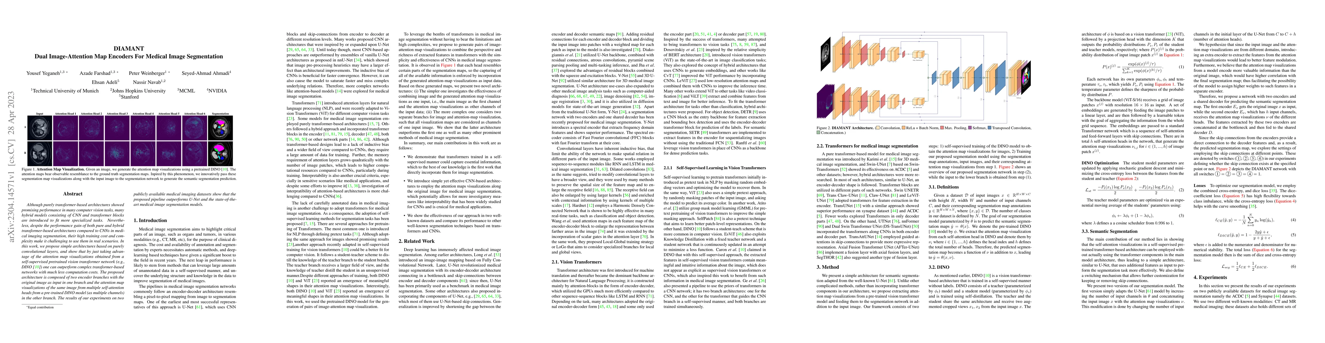 Thumbnail for DIAMANT: Dual Image-Attention Map Encoders For Medical Image
  Segmentation