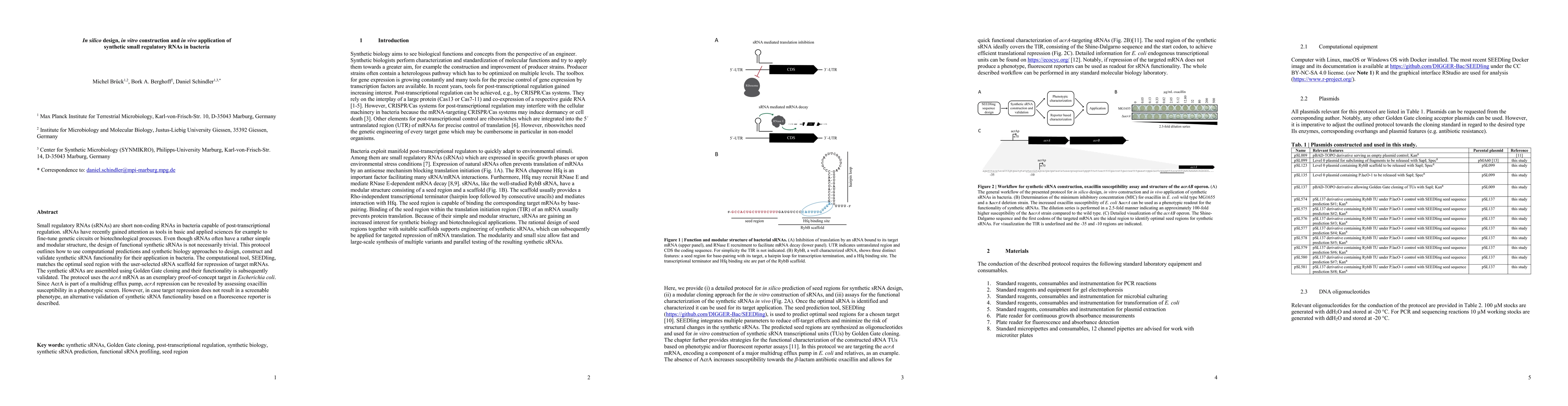 Thumbnail for In silico design, in vitro construction and in vivo application of
  synthetic small regulatory RNAs in bacteria