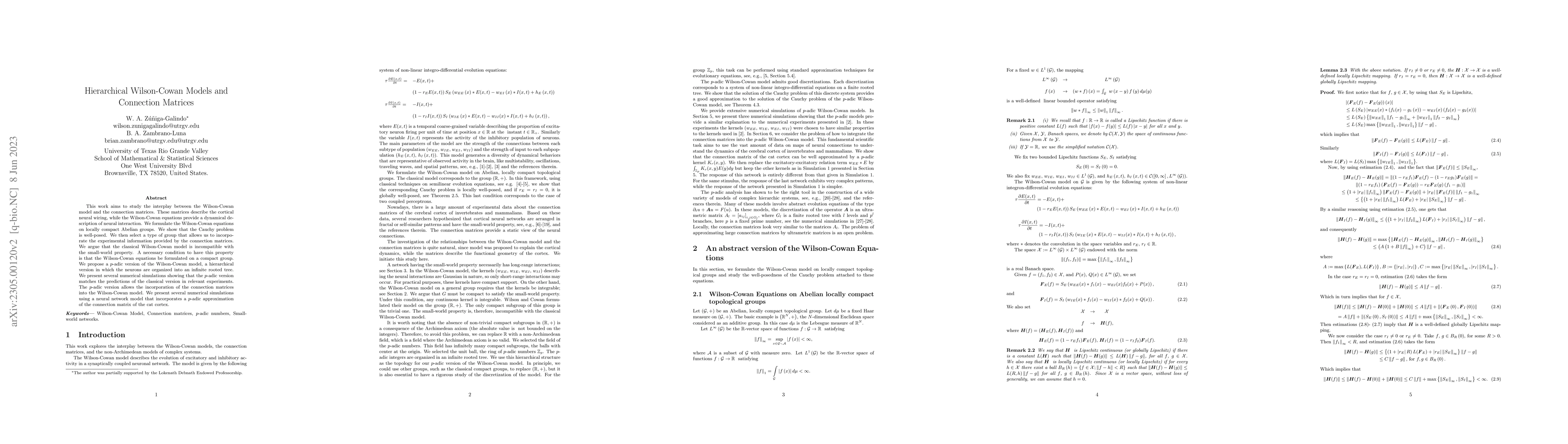 Thumbnail for Hierarchical Wilson-Cowan Models and Connection Matrices