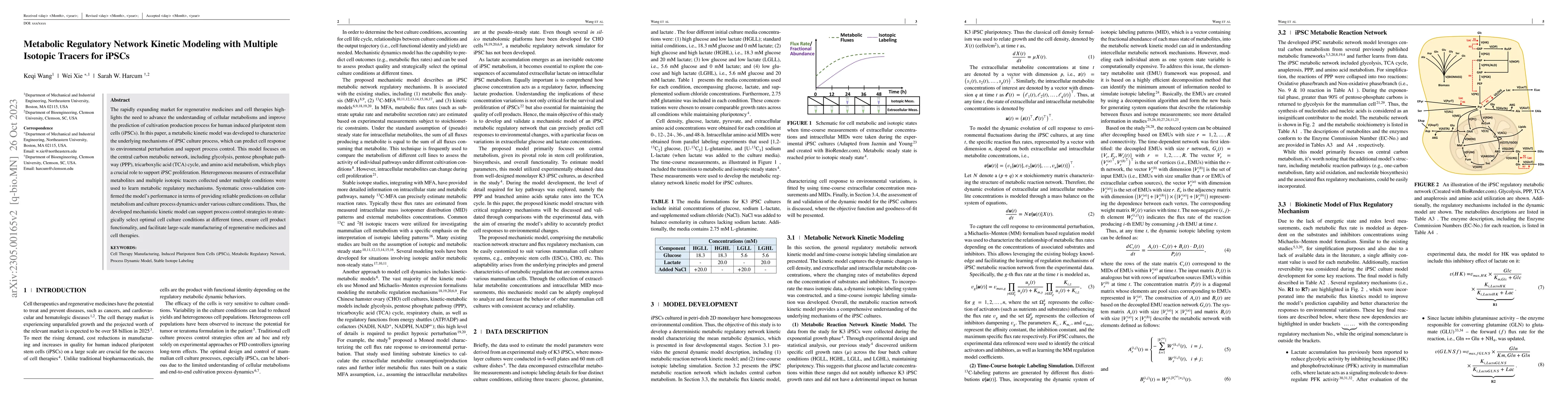 Thumbnail for Metabolic Regulatory Network Kinetic Modeling with Multiple Isotopic
  Tracers for iPSCs
