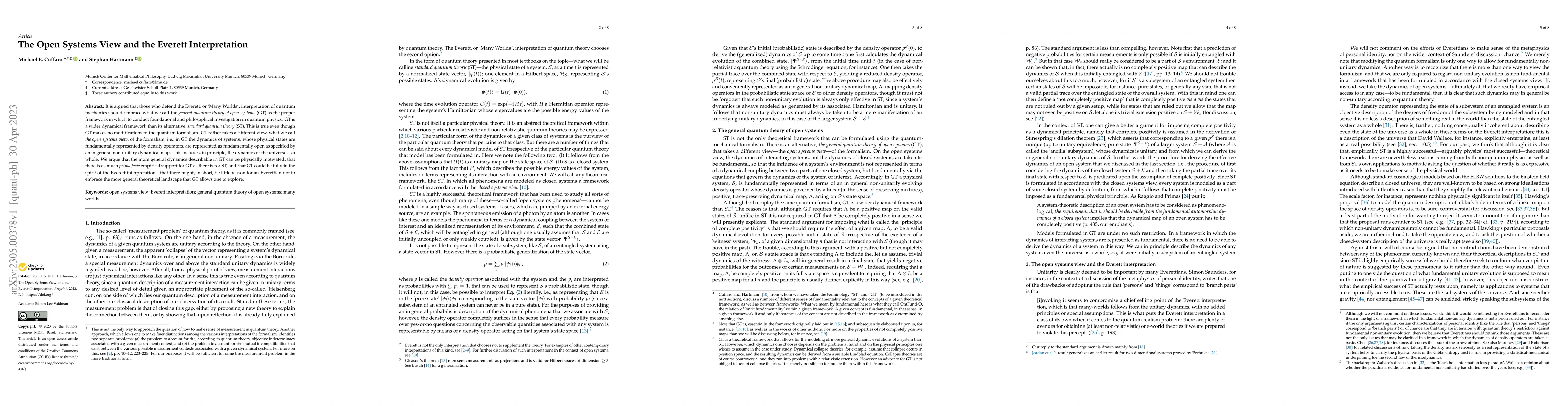 Thumbnail for The Open Systems View and the Everett Interpretation
