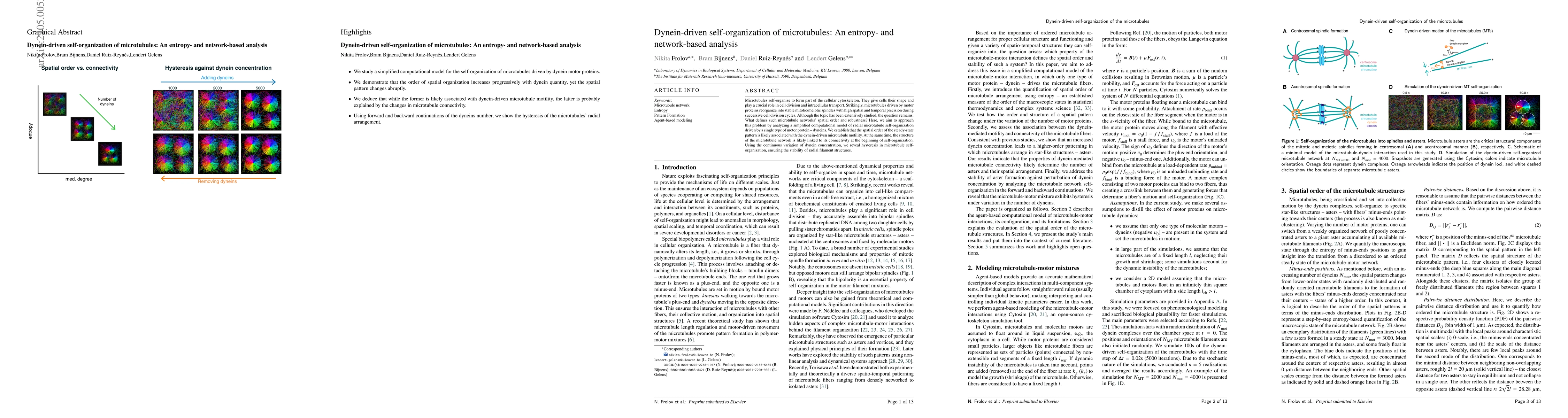 Thumbnail for Dynein-driven self-organization of microtubules: An entropy- and
  network-based analysis