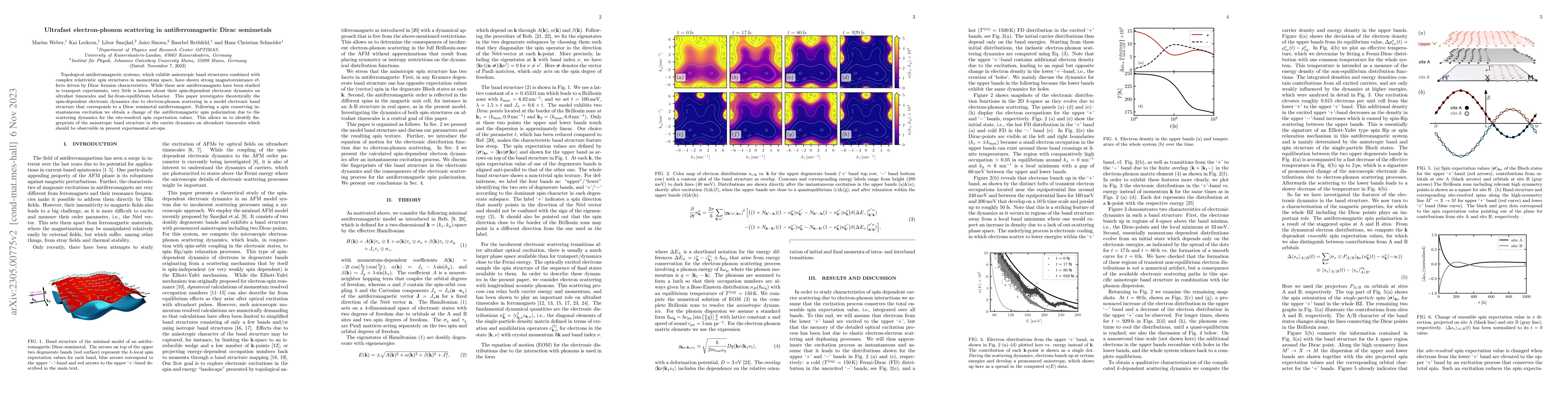 Thumbnail for Ultrafast electron-phonon scattering in antiferromagnetic Dirac
  semimetals