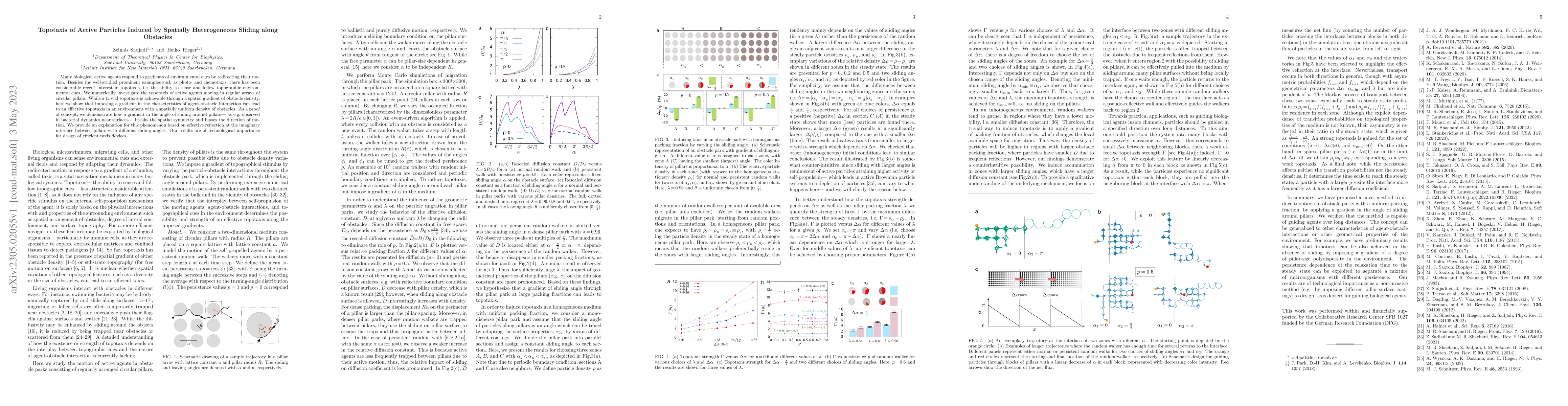 Thumbnail for Topotaxis of Active Particles Induced by Spatially Heterogeneous Sliding
  along Obstacles
