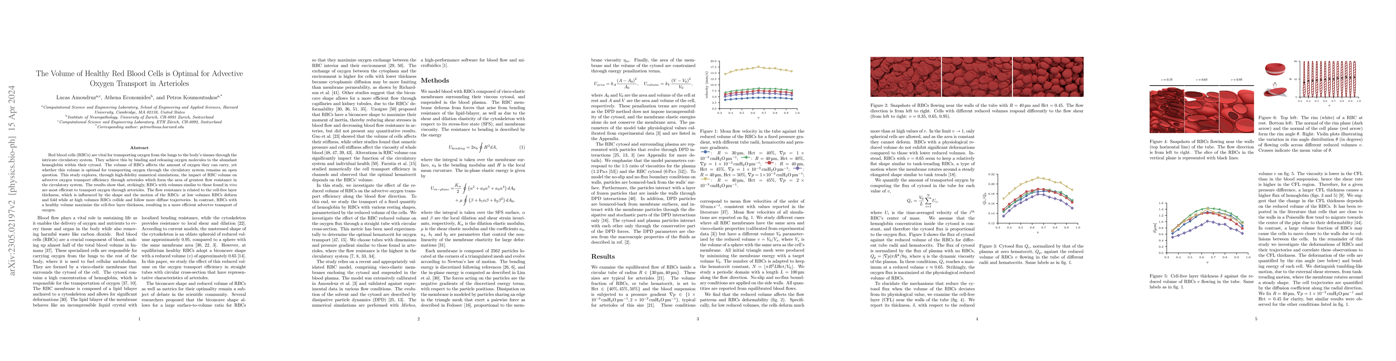 Thumbnail for The Volume of Healthy Red Blood Cells is Optimal for Advective Oxygen
  Transport in Arterioles