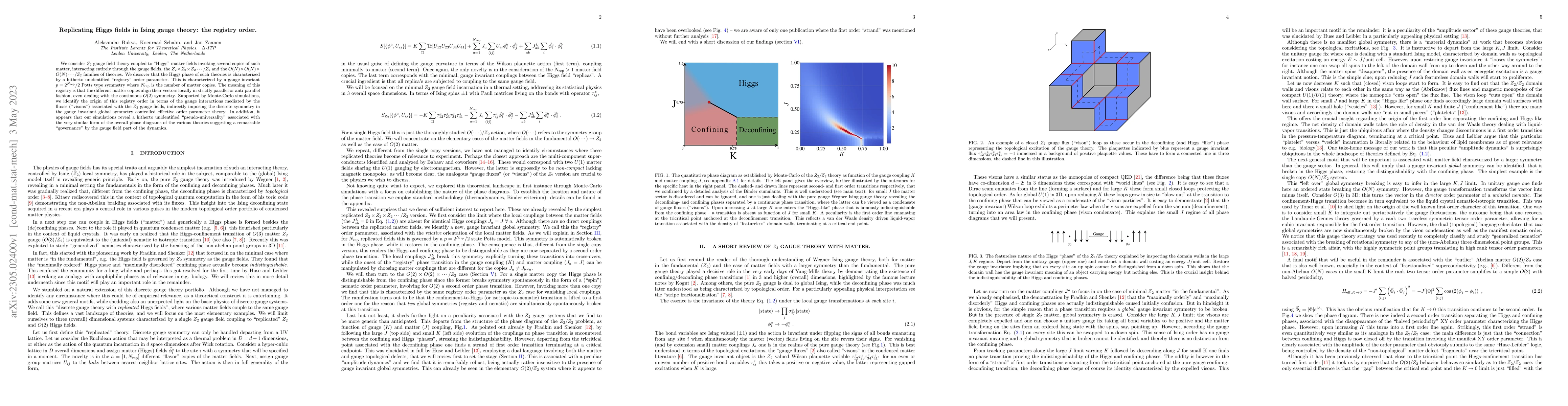 Thumbnail for Replicating Higgs fields in Ising gauge theory: the registry order