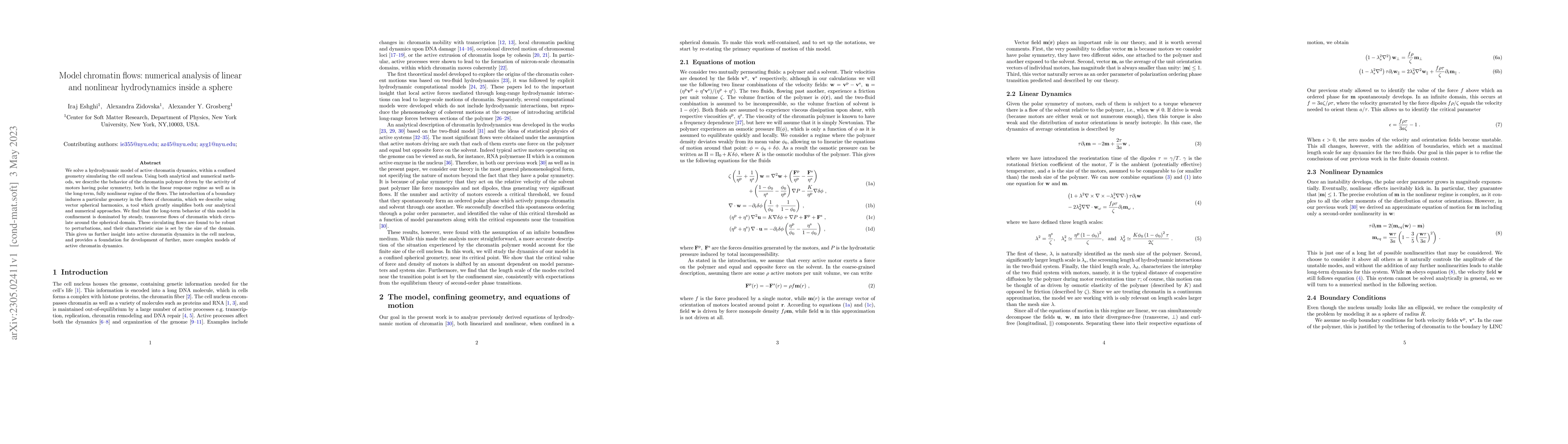Thumbnail for Model chromatin flows: numerical analysis of linear and nonlinear
  hydrodynamics inside a sphere