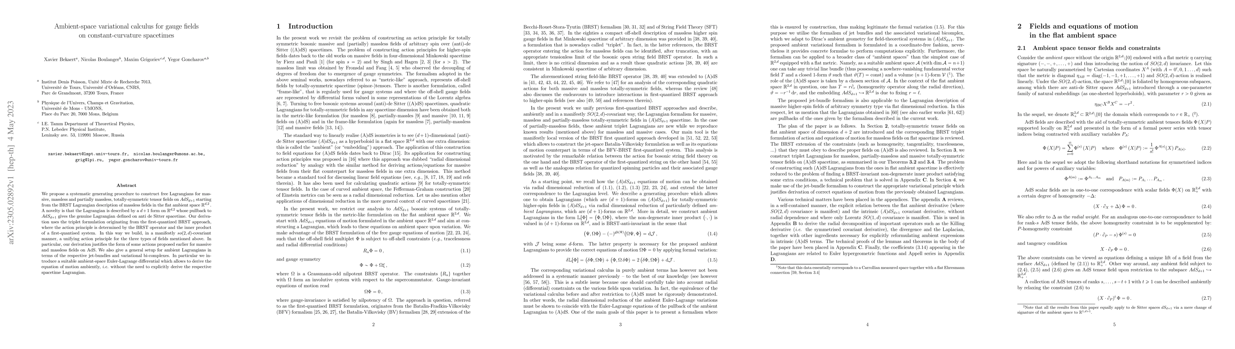 Thumbnail for Ambient-space variational calculus for gauge fields on
  constant-curvature spacetimes