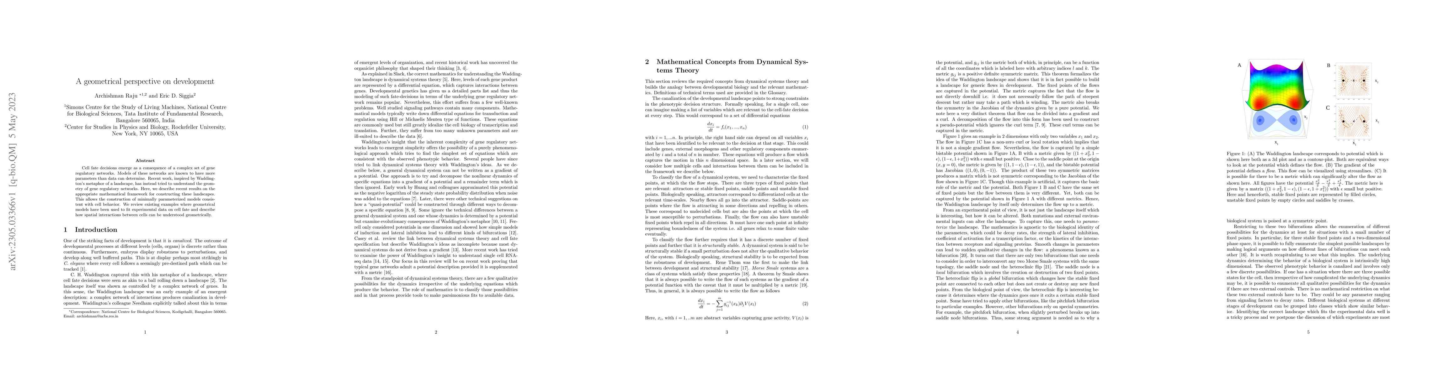 Thumbnail for A geometrical perspective on development