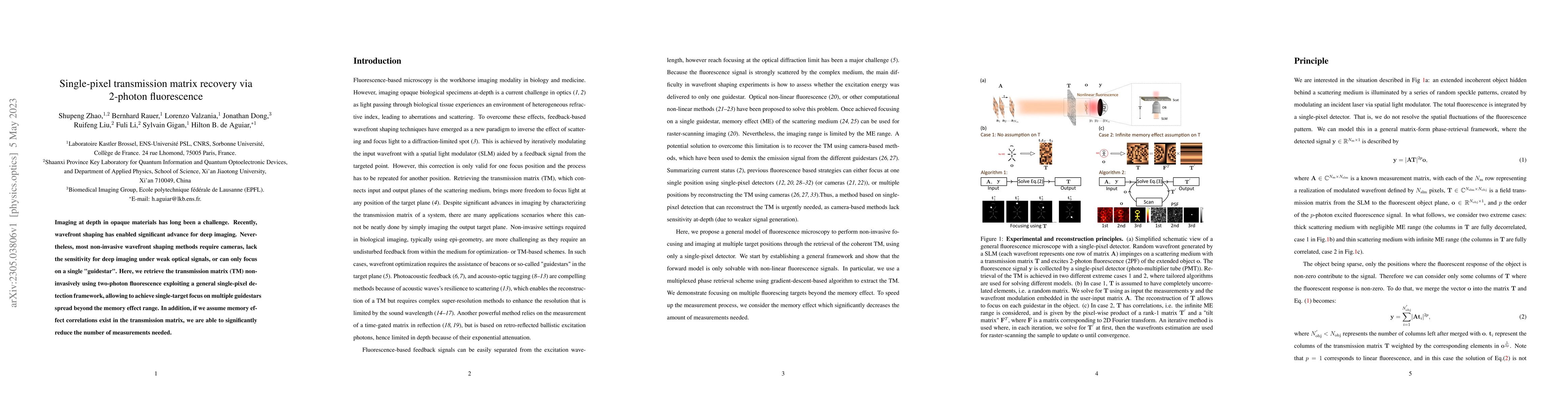 Thumbnail for Single-pixel transmission matrix recovery via 2-photon fluorescence