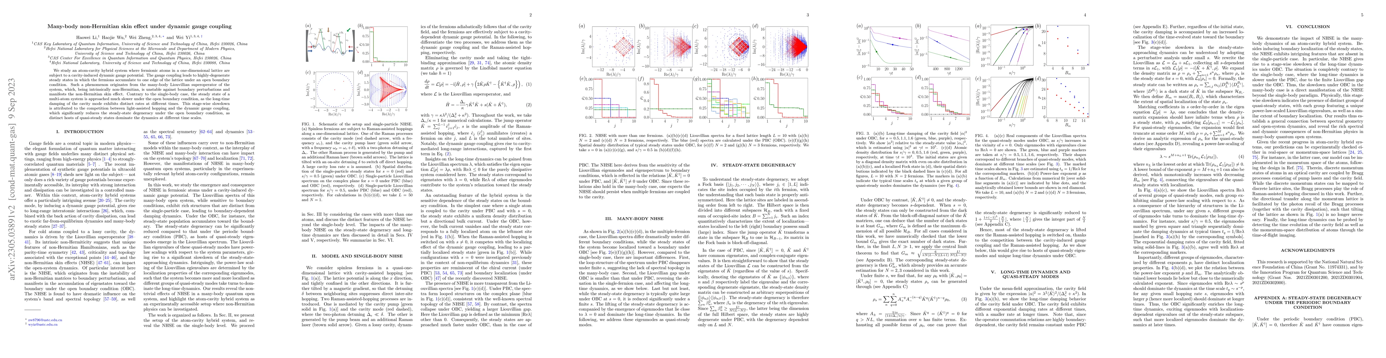 Thumbnail for Many-body non-Hermitian skin effect under dynamic gauge coupling
