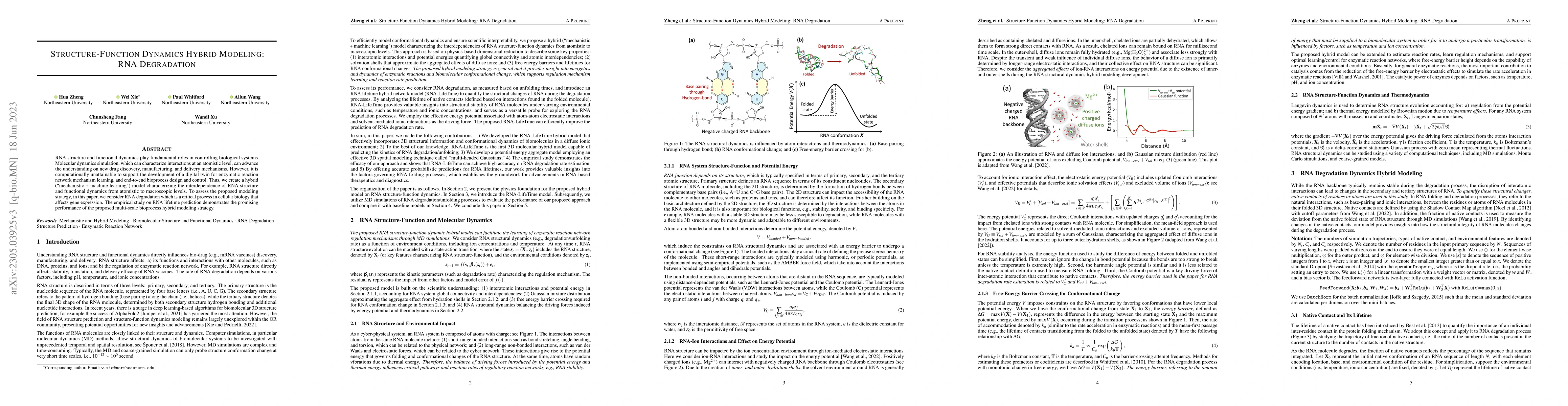 Thumbnail for Structure-Function Dynamics Hybrid Modeling: RNA Degradation